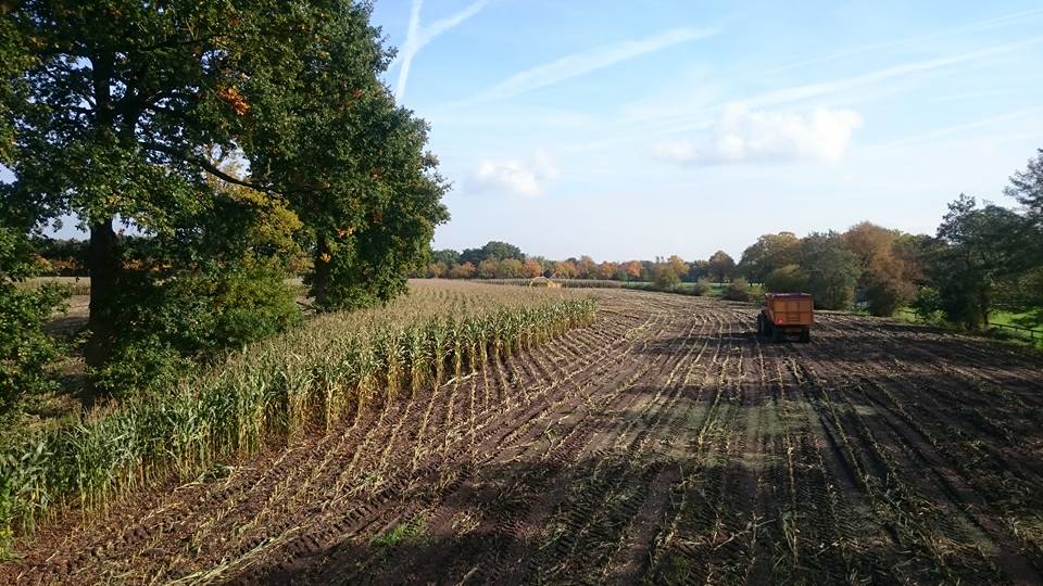 Foto op hout herfst