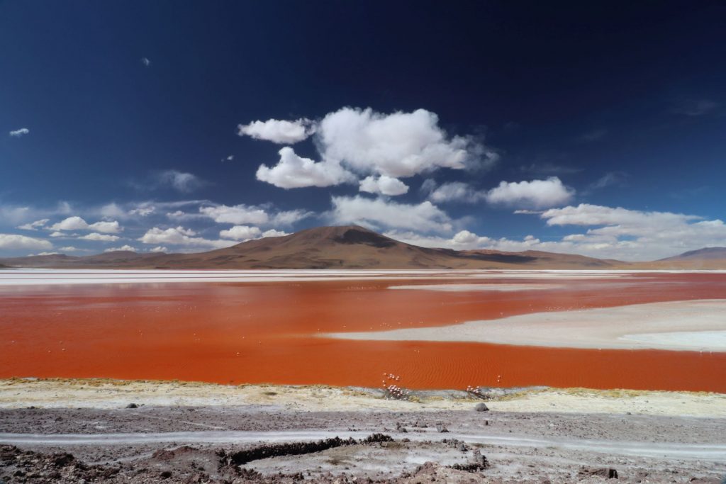 laguna colorada, bolivia, vakantiefoto, reisbestemming